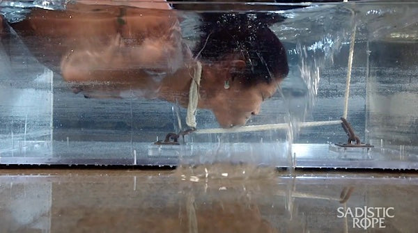 Into the Depths: Lotus Lain