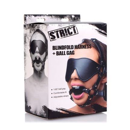 Blindfold Harness and Black Ball Gag - BDSM Toys