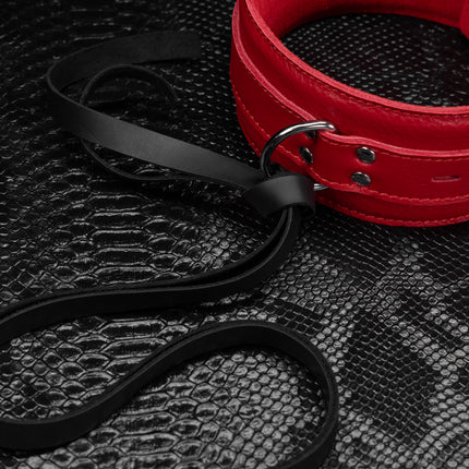 Arched Back Ass Hook to Collar Kit by Kink