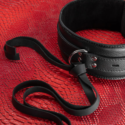 Arched Back Ass Hook to Collar Kit by Kink