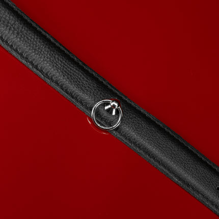 Elegant Premium Leather Collar by Kink