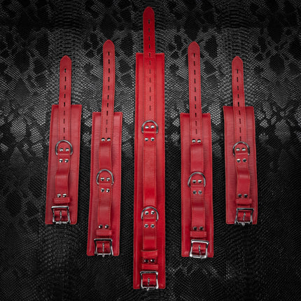 Five Piece Signature Leather Set by Kink