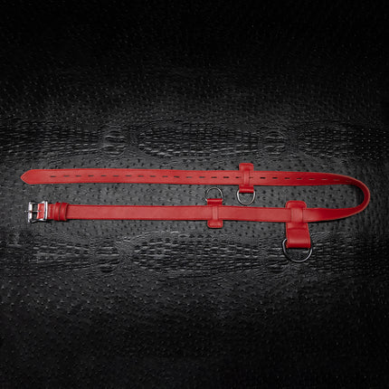 Signature Leather Bondage Strap by Kink