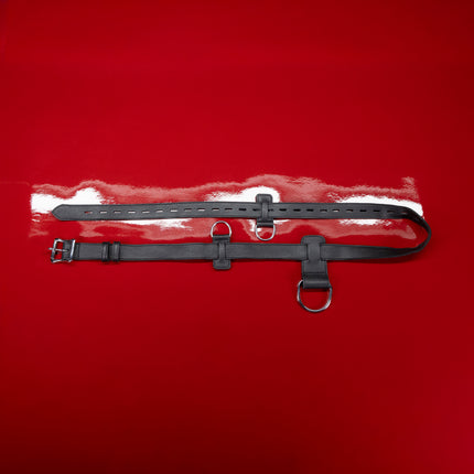 Signature Leather Bondage Strap by Kink