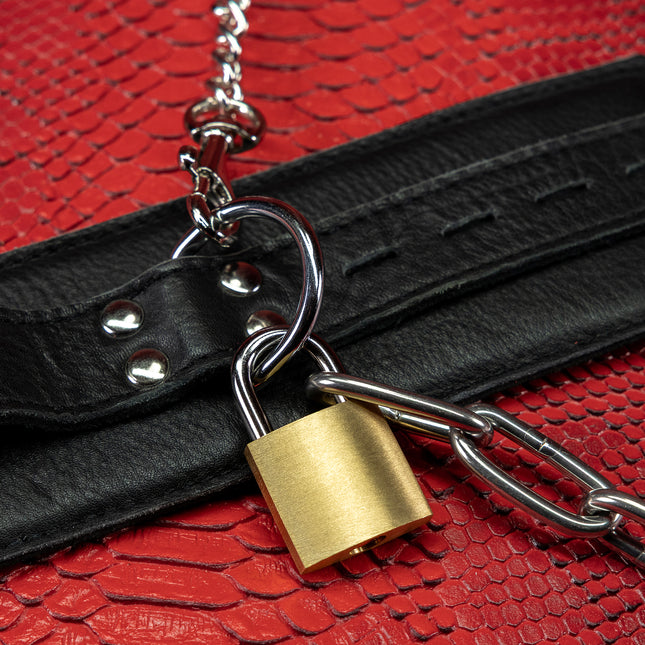 Secure Bondage Padlocks by KINK