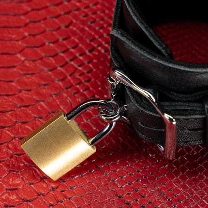 Secure Bondage Padlocks by KINK