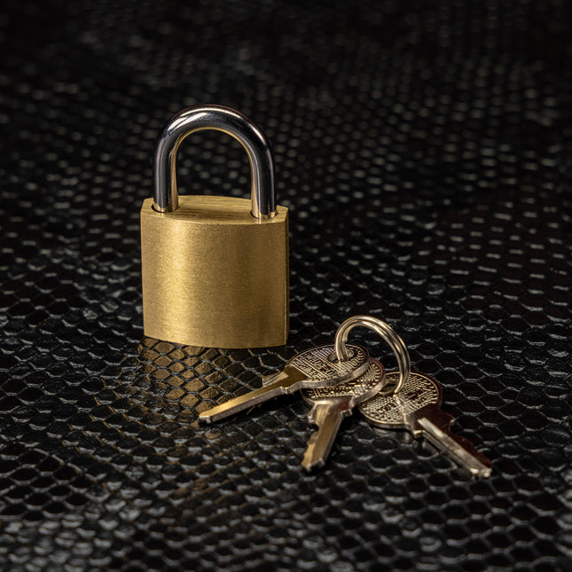 Secure Bondage Padlocks by KINK