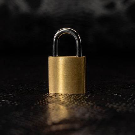Secure Bondage Padlocks by KINK