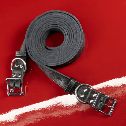 Leather Bondage Belt Pairs