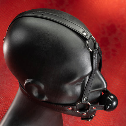Harness Gag by KINK