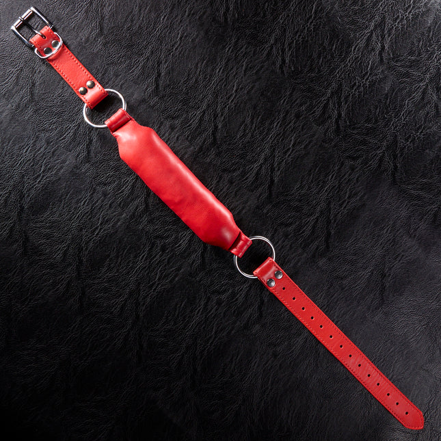Red Bit Gag By Kink