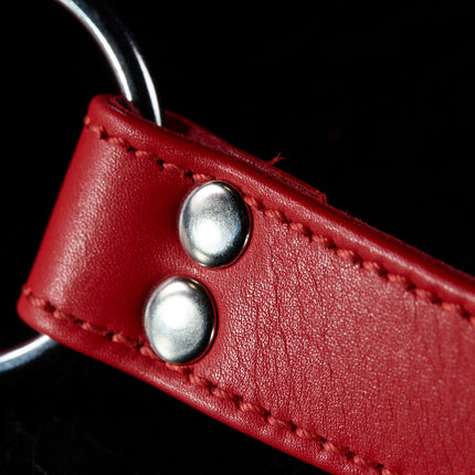 Leather Bit Gag by KINK