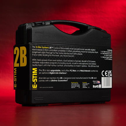 E-Stim Systems 2B