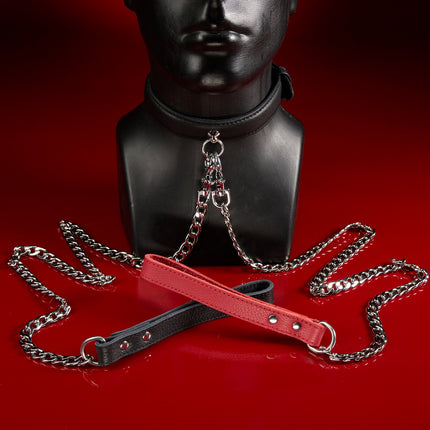 Heel Puppy Collar and Leash Set by KINK