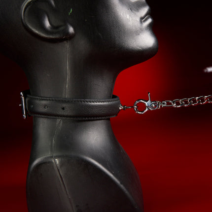 Heel Puppy Collar and Leash Set by KINK