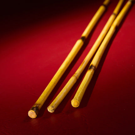 Natural Rattan Whipping Cane by KINK