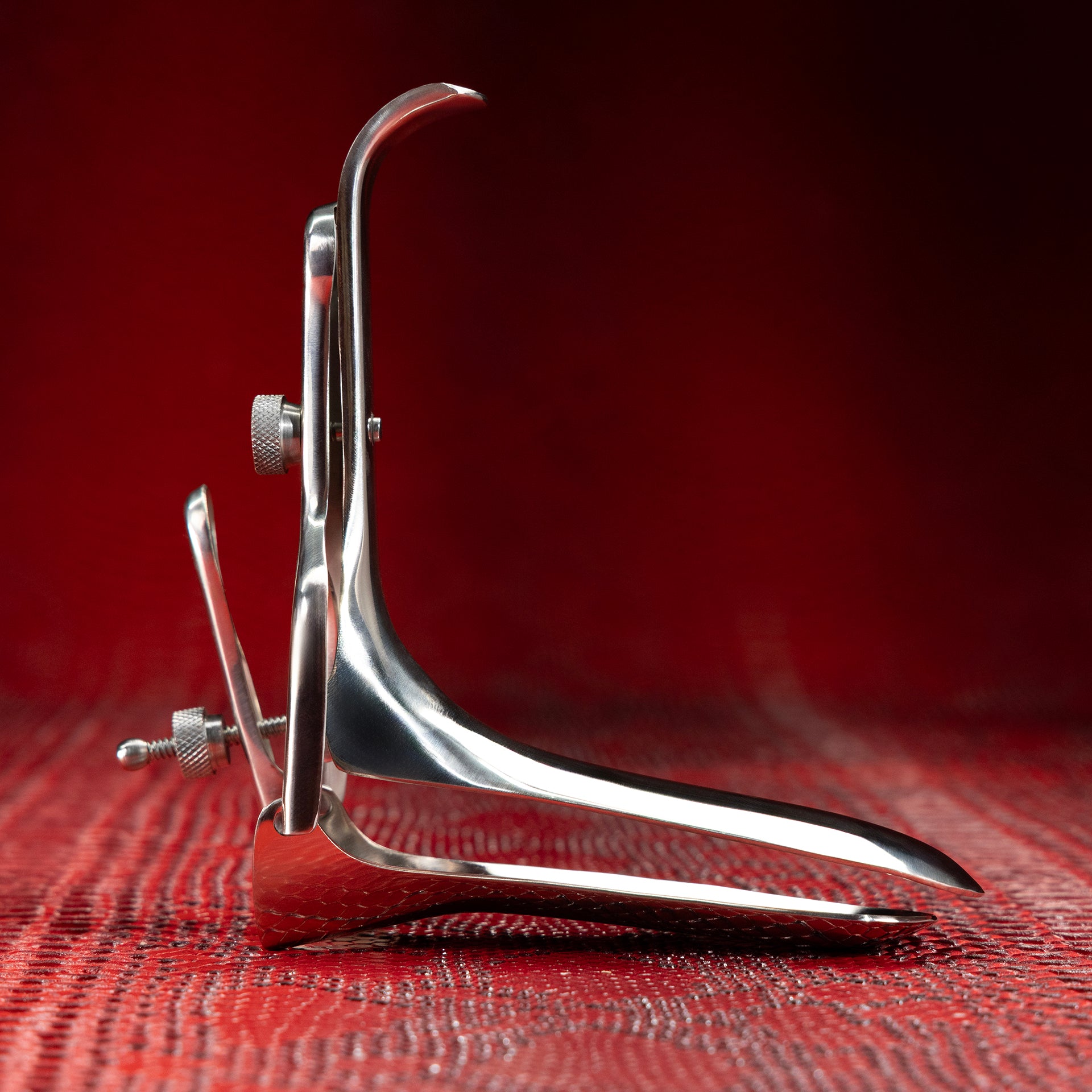 bdsm fish hooks BDSM Speculum by Kink