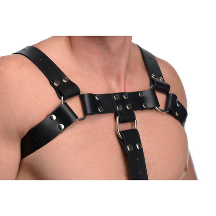 English Bull Dog Harness with Cock Strap - Bondage Toys