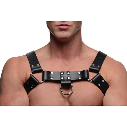 English Bull Dog Harness with Cock Strap - Bondage Toys