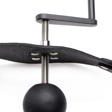 Crank Ball Gag - BDSM Toys