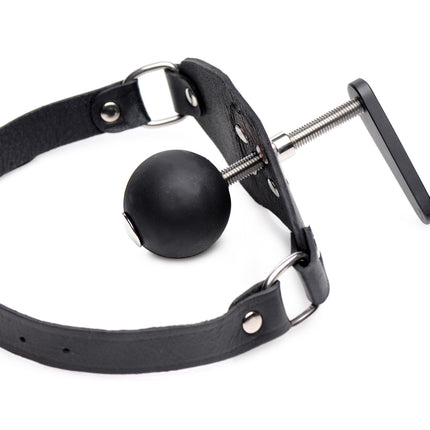 Crank Ball Gag - BDSM Toys