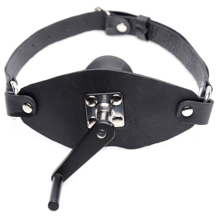 Crank Ball Gag - BDSM Toys