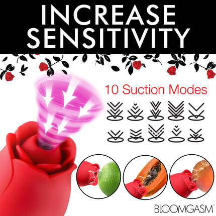 Blooming Bunny Sucking and Thrusting Silicone Rabbit Vibrator - Sex Toys