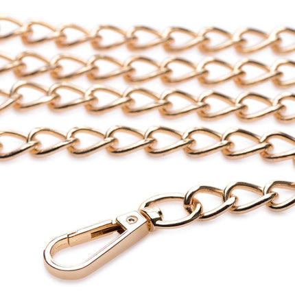 Black and Gold Collar with Leash Kit - Bondage Toys