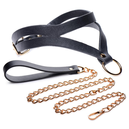 Black and Gold Collar with Leash Kit - Bondage Toys