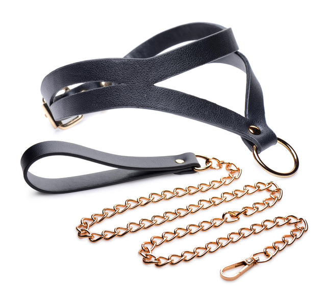 Black and Gold Collar with Leash Kit - Bondage Toys