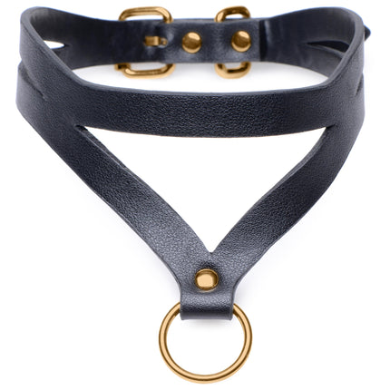 Black and Gold Collar with Leash Kit - Bondage Toys