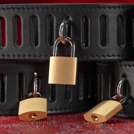 Secure Bondage Padlocks by KINK