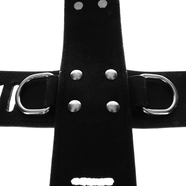 Secure Cross Cuff with D-rings and Locks by Kink - Bondage Toys