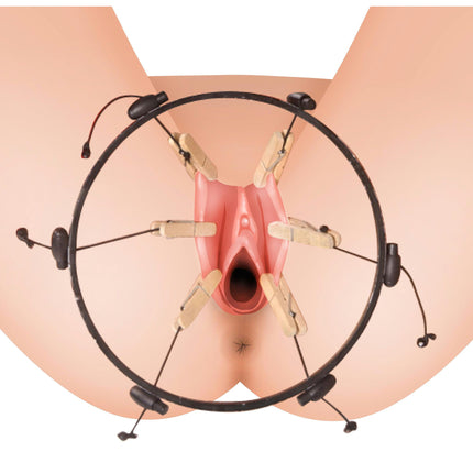 The Pussy Spreader Female Bondage Device - BDSM Toys