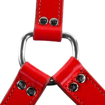 3-Way Hogtie Connector by Kink - Bondage Toys