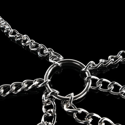 Collar to Nipple and Labia Clamps By Kink - BDSM Toys