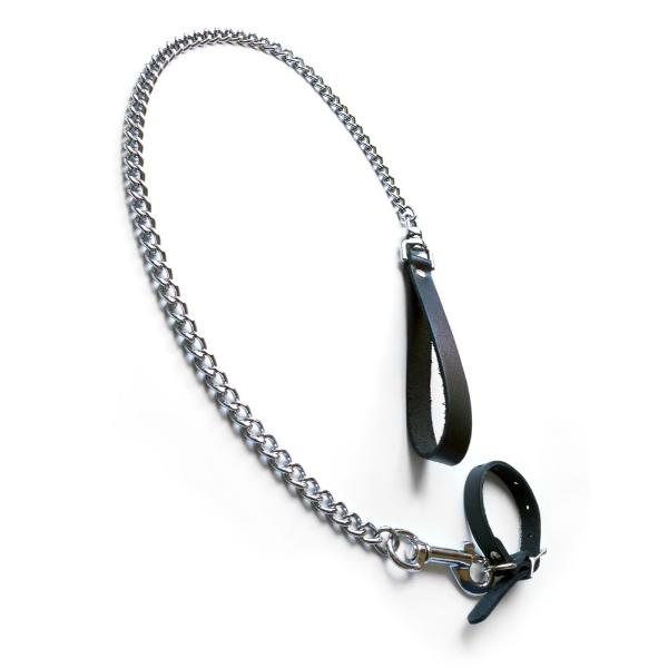 Kinklab Buckling Cock Ring and Chain Leash Set - BDSM Toys