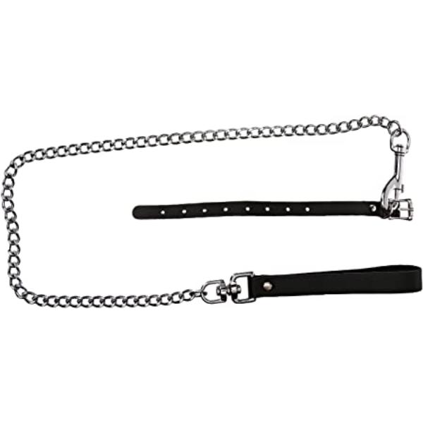 Kinklab Buckling Cock Ring and Chain Leash Set - BDSM Toys