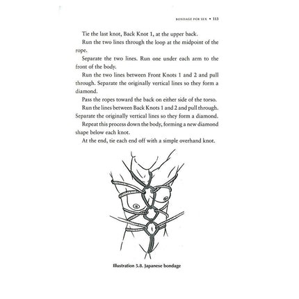 Ultimate Guide to Kink: BDSM, Role Play and the Erotic Edge by Tristan Taormino - Sex Toys