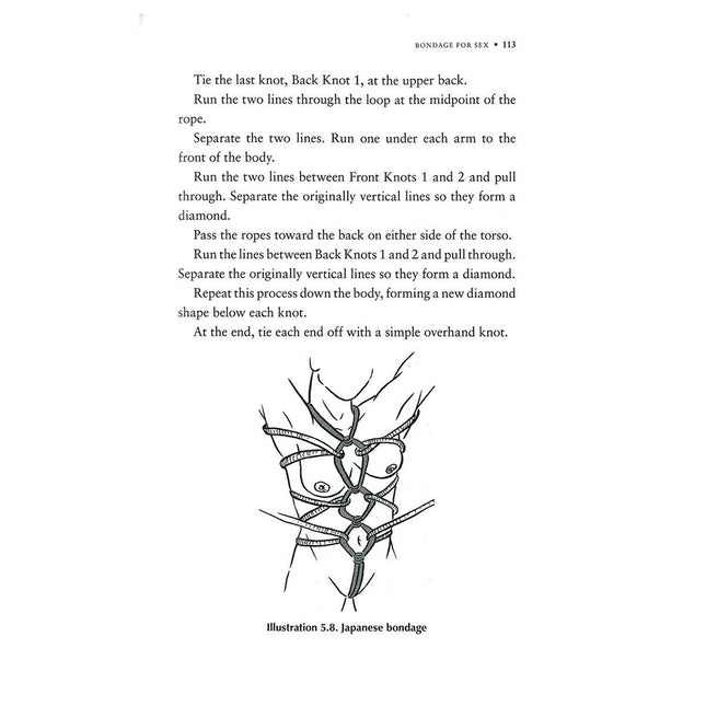 Ultimate Guide to Kink: BDSM, Role Play and the Erotic Edge by Tristan Taormino - Sex Toys